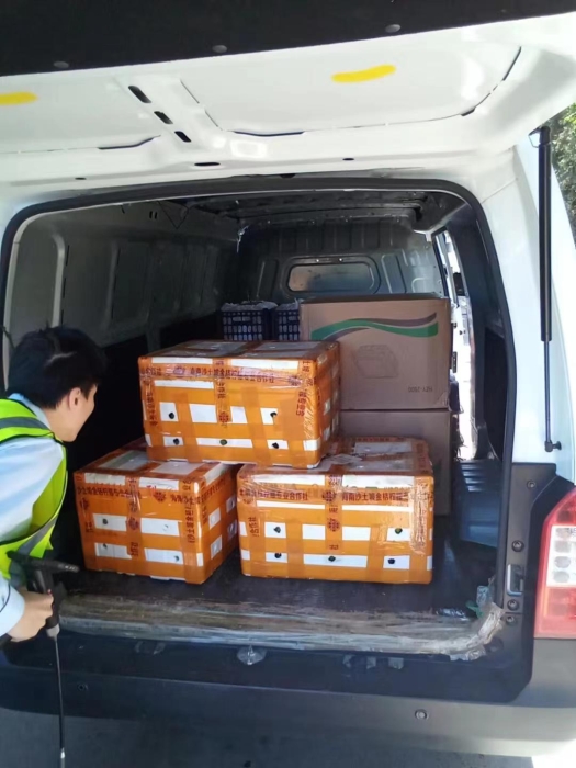 IMG_1281(20240527-171206)