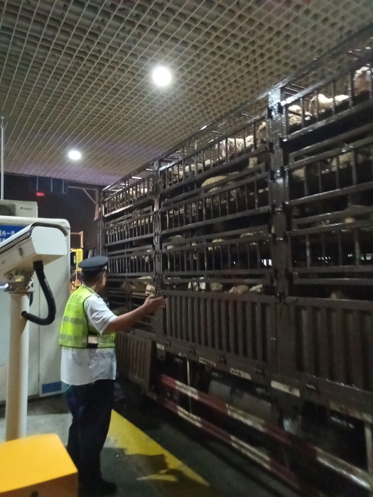 mmexport1725520855506