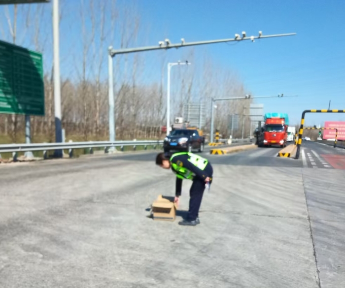 74bde35bbd1012084728eadccd3d9f0d